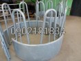 /album/krmelce/a2021-03-01-11-51-39-125-jpeg/
